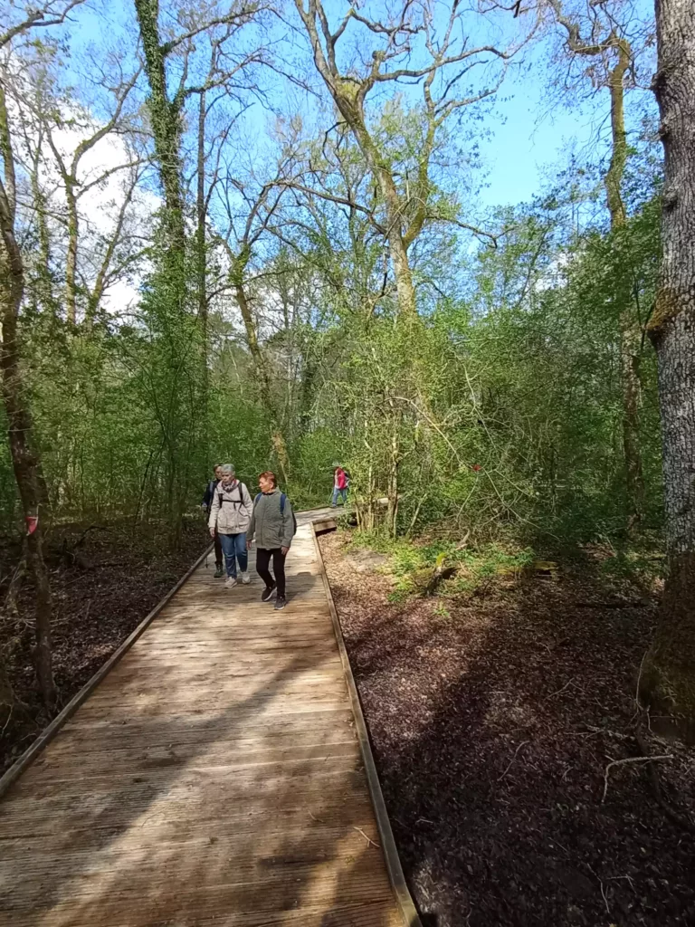 Rando Santé à Casteljaloux du jeudi 17 avril
