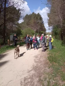 Rando Santé à Casteljaloux du jeudi 17 avril