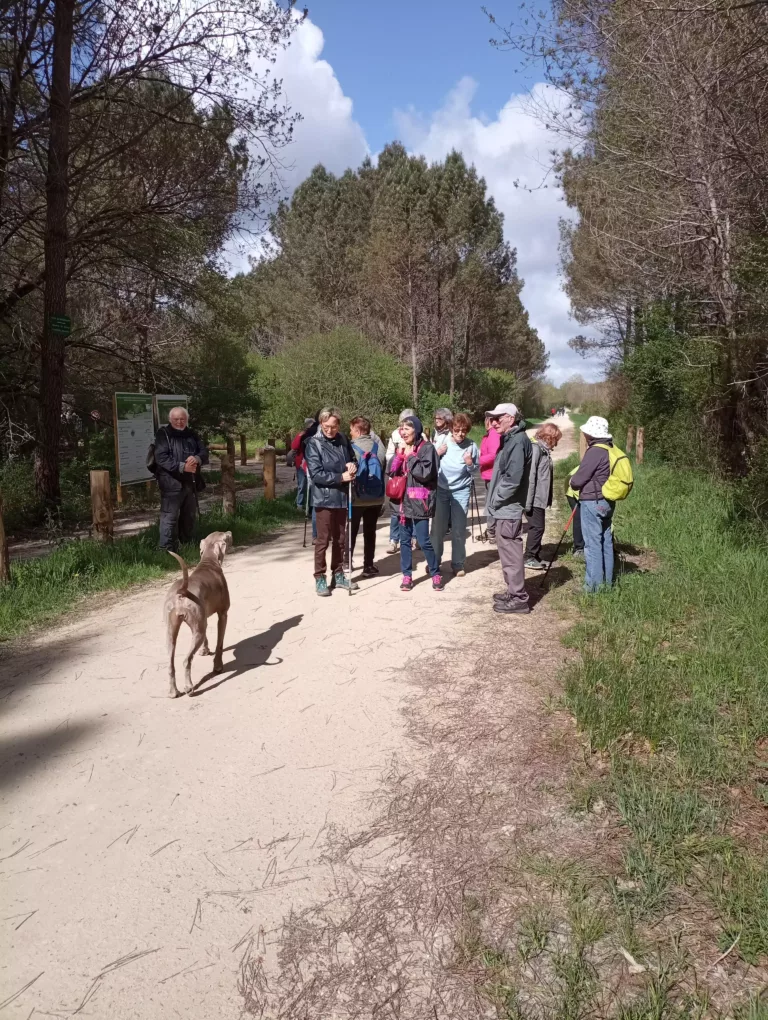Rando Santé à Casteljaloux du jeudi 17 avril