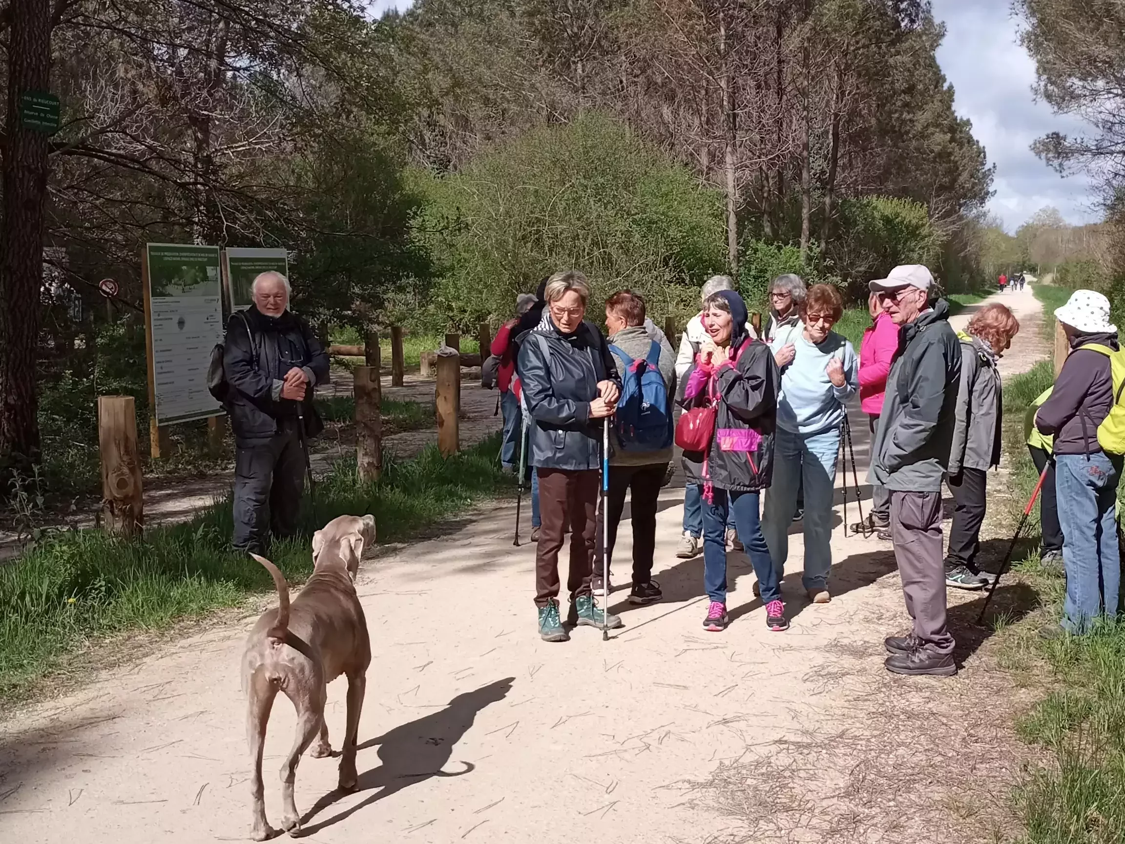 Rando Santé à Casteljaloux du jeudi 17 avril