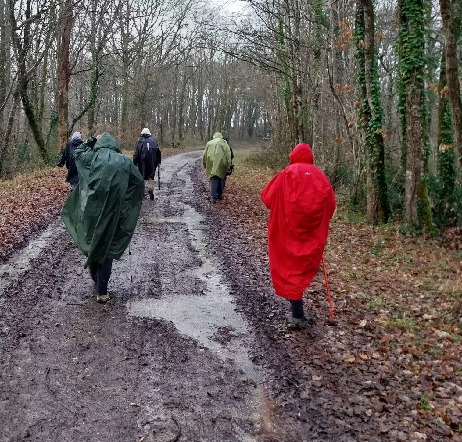 Rando Conviviale du 22 janvier 2026 à Seyches - Rando Val de Garonne